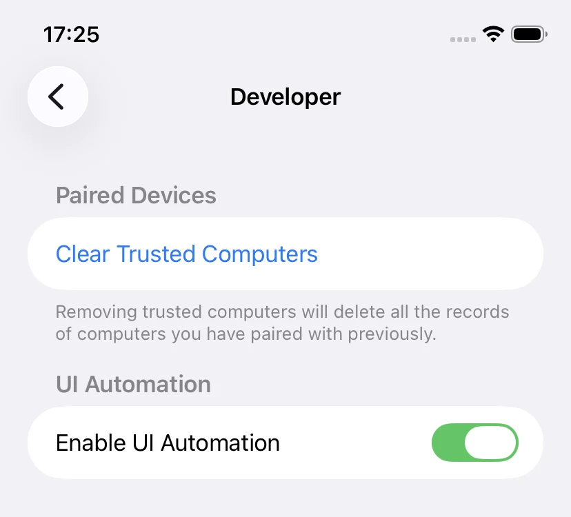 The Developer screen with Enable UI Automation turned on